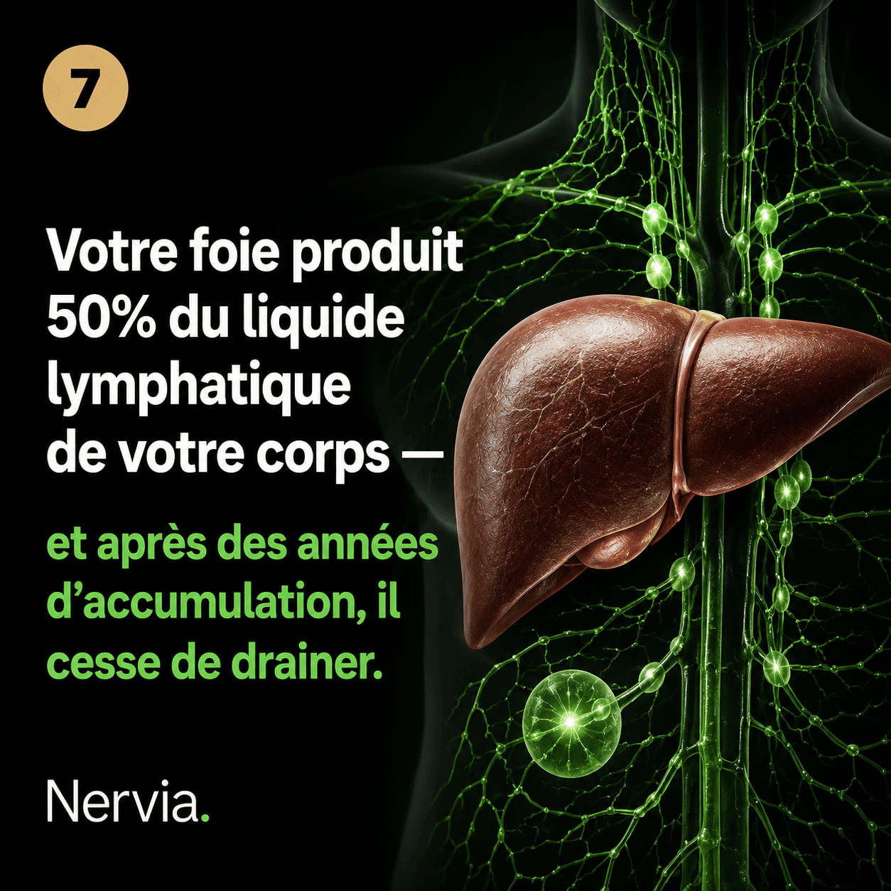Nervia™ Drainage Hépatique — miniature 8