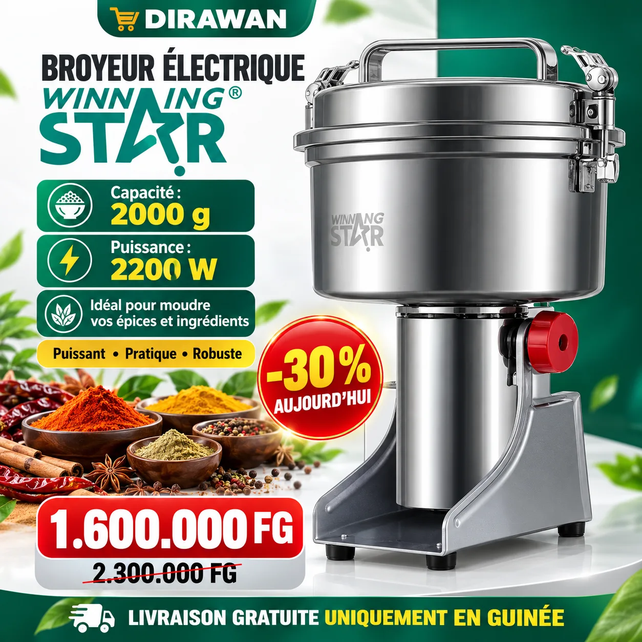 BROYEUR ÉLECTRIQUE WINNING STAR 2000 G – 2200 W